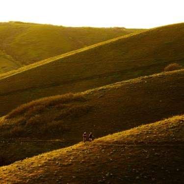 David Parker Consulting - Home